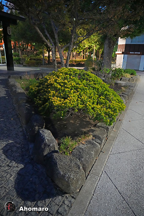 写真00