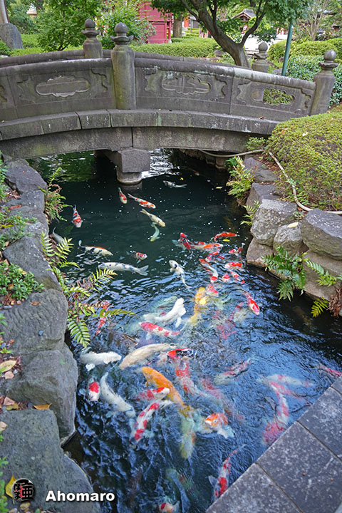 写真00
