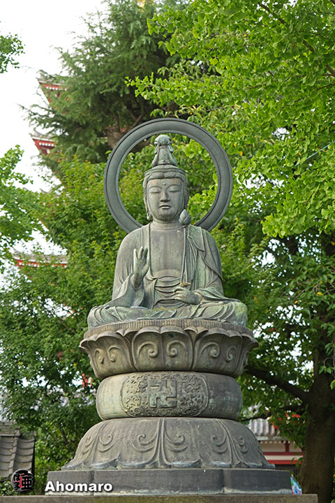 写真00