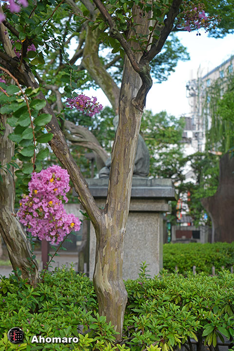 写真00