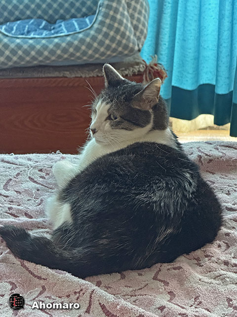 ʐ^00