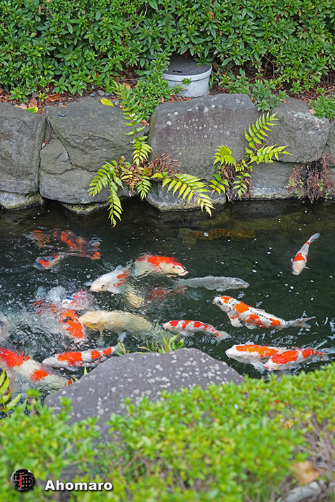 写真00
