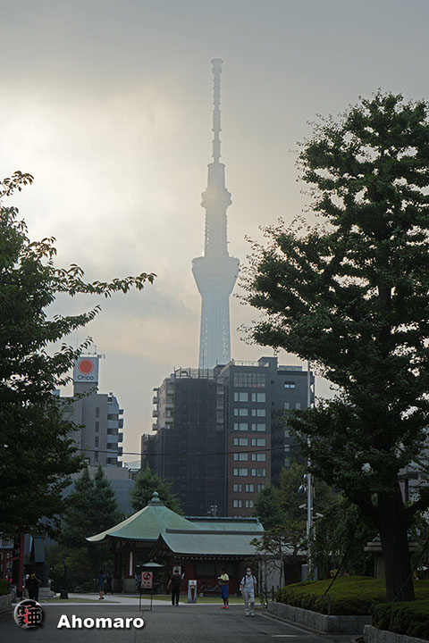 写真00