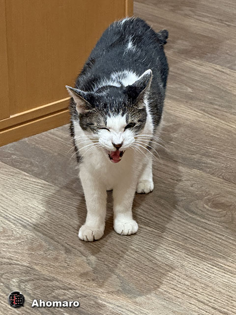 ʐ^00