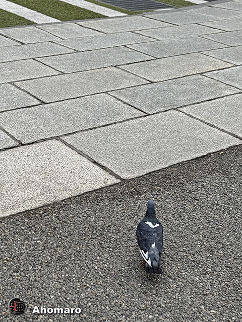 ʐ^00