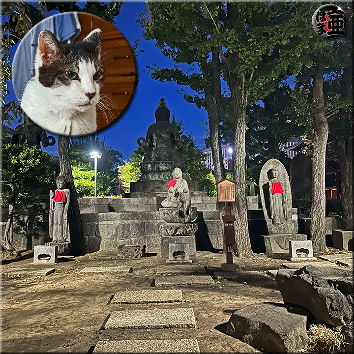 日記写真