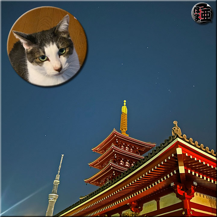 日記写真