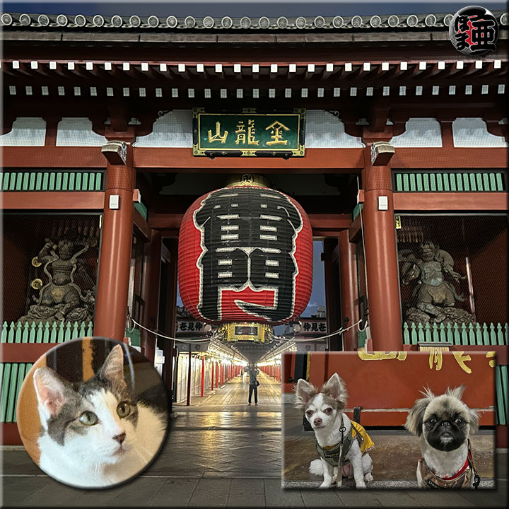 日記写真