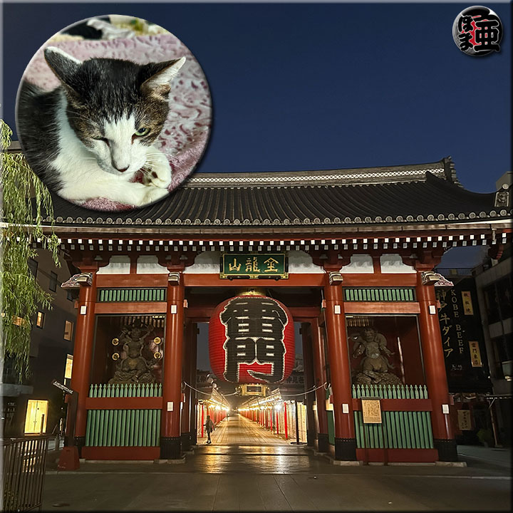 日記写真