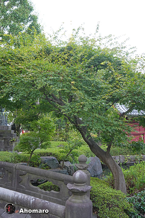 写真00
