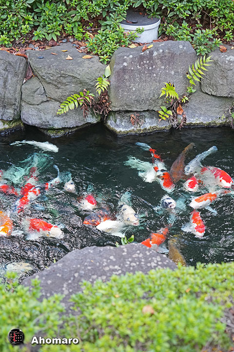 写真00