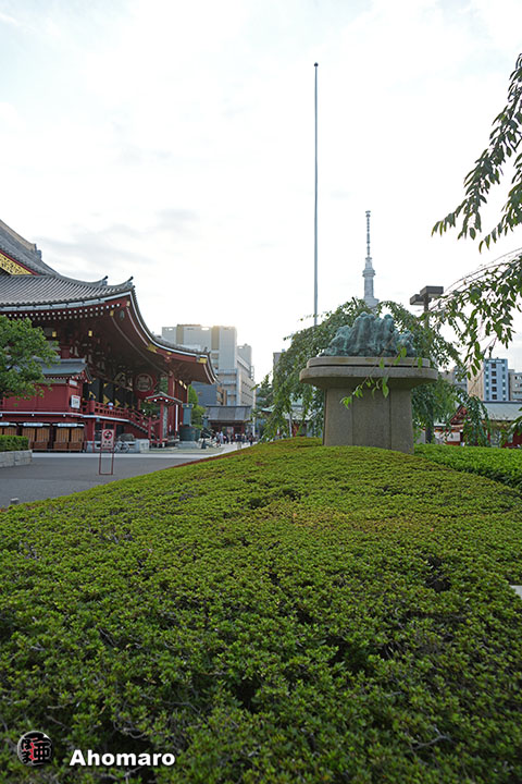 写真00