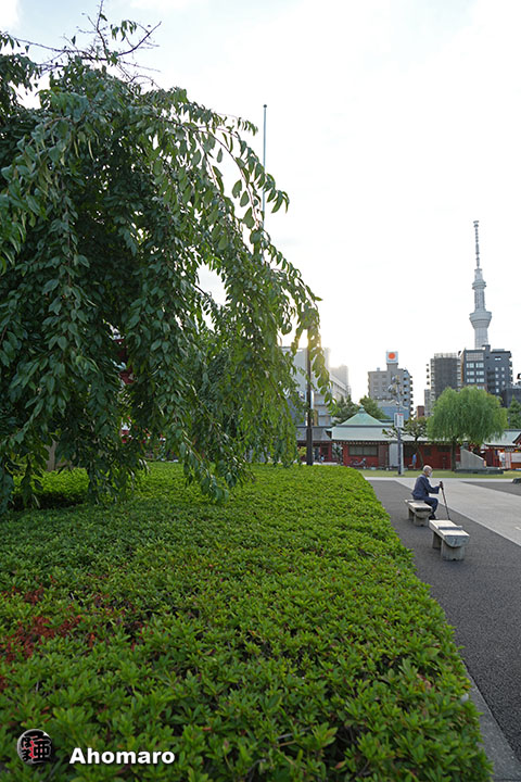 写真00