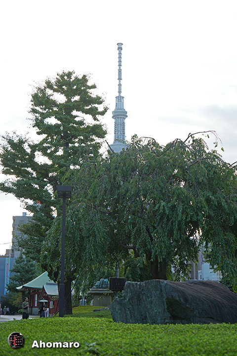 写真00