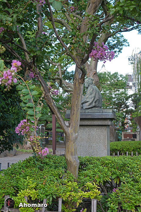 写真00