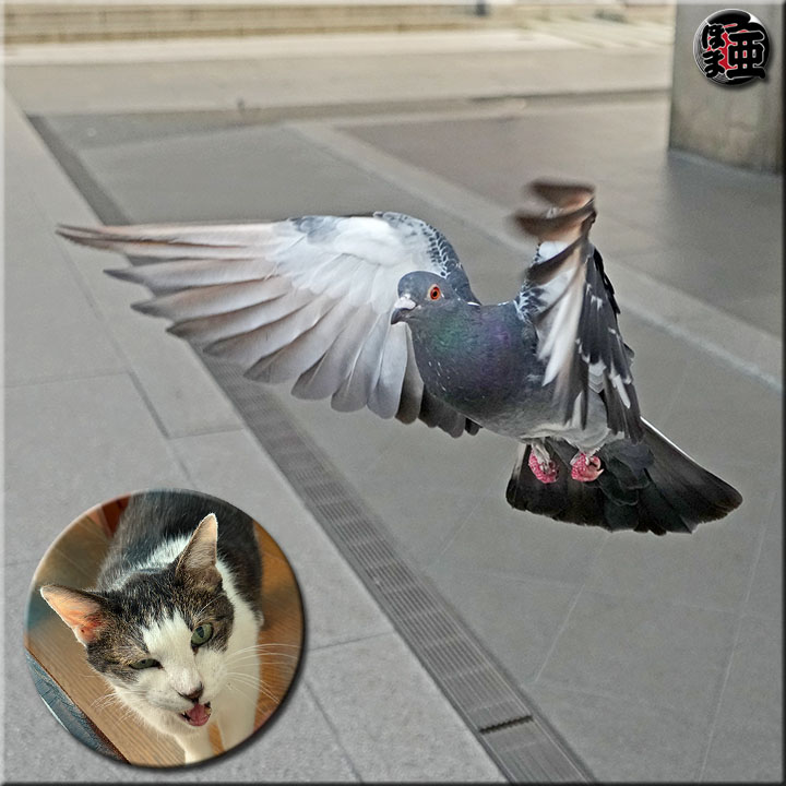 Lʐ^