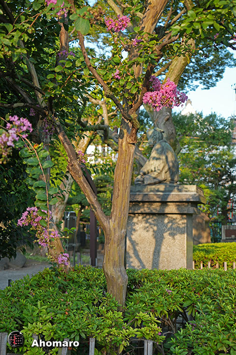 写真00