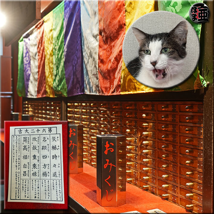 Lʐ^