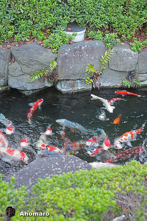 写真00