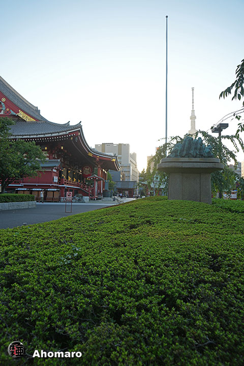 写真00