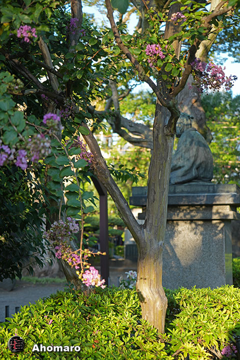 写真00
