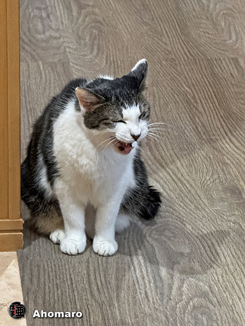ʐ^00