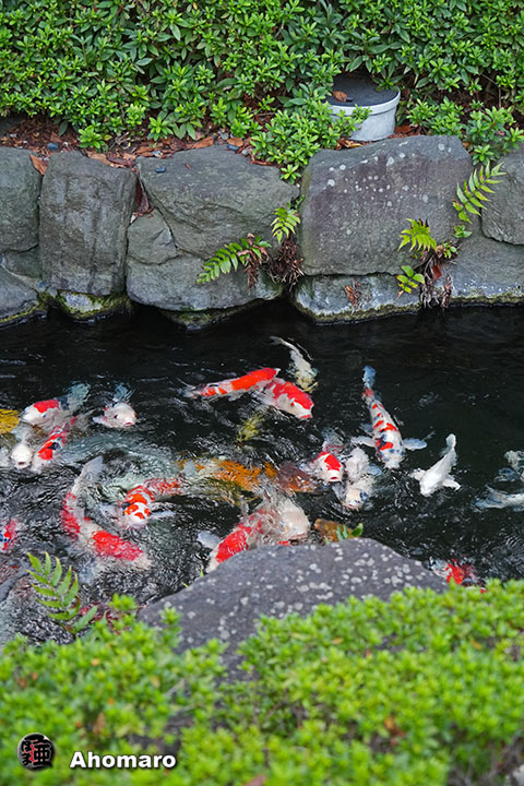 写真00