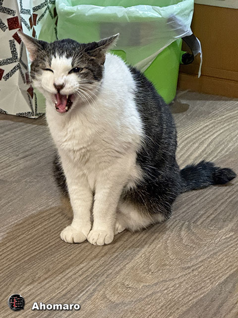 ʐ^00