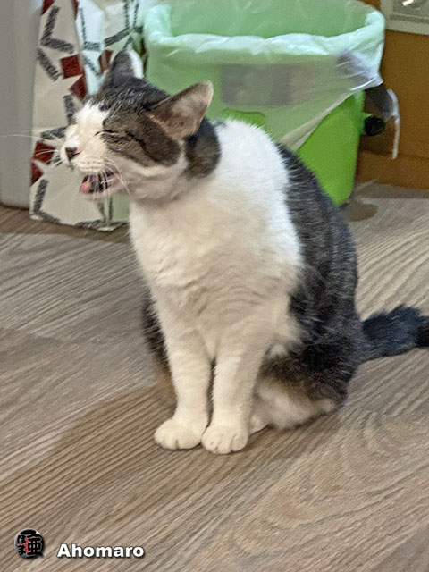 ʐ^00