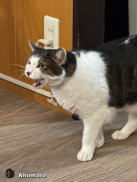 ʐ^00