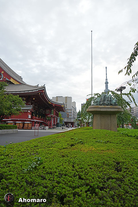 写真00
