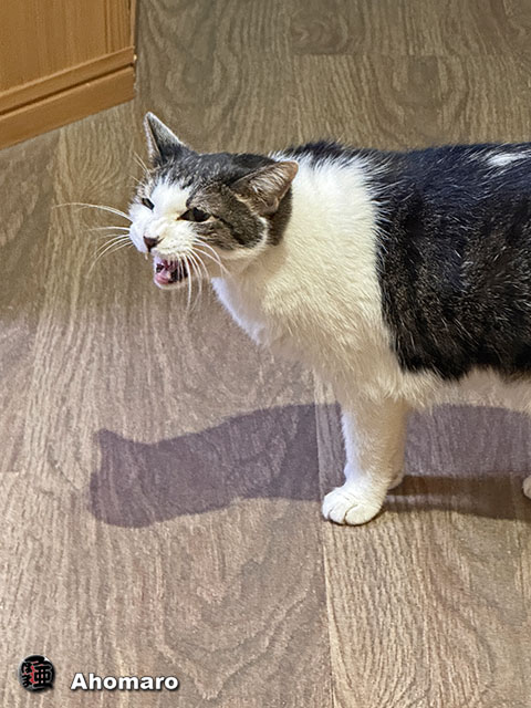 ʐ^00