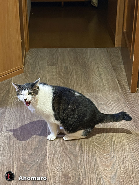 ʐ^00