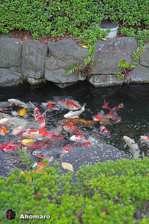 写真00