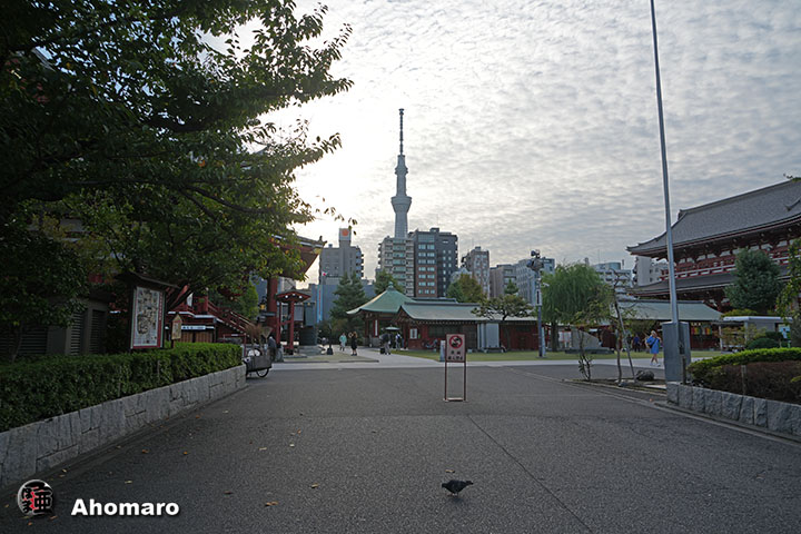 写真00