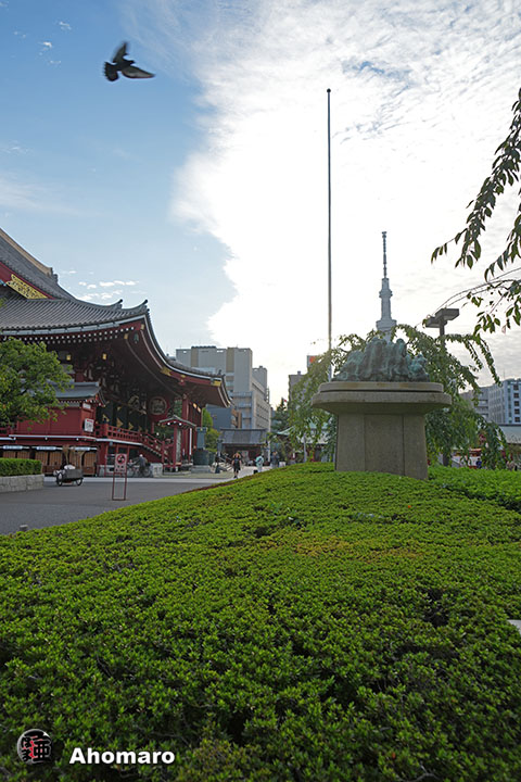 写真00