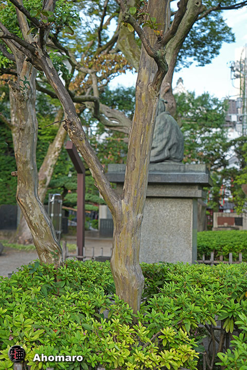 写真00
