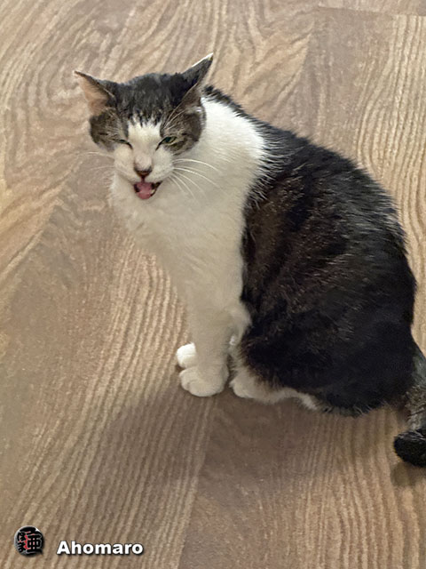 ʐ^00