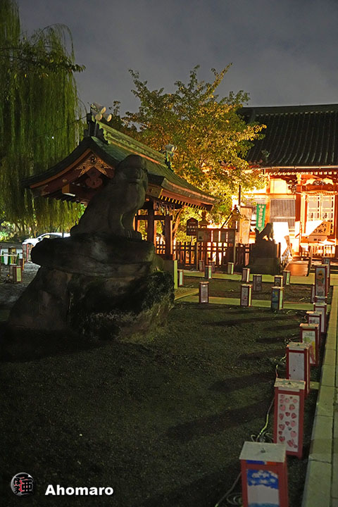 写真00