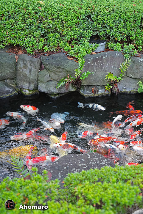 写真00