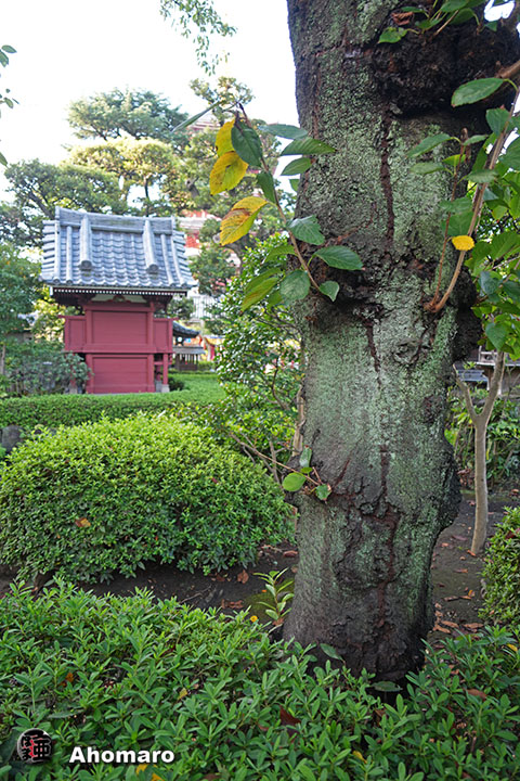 写真00