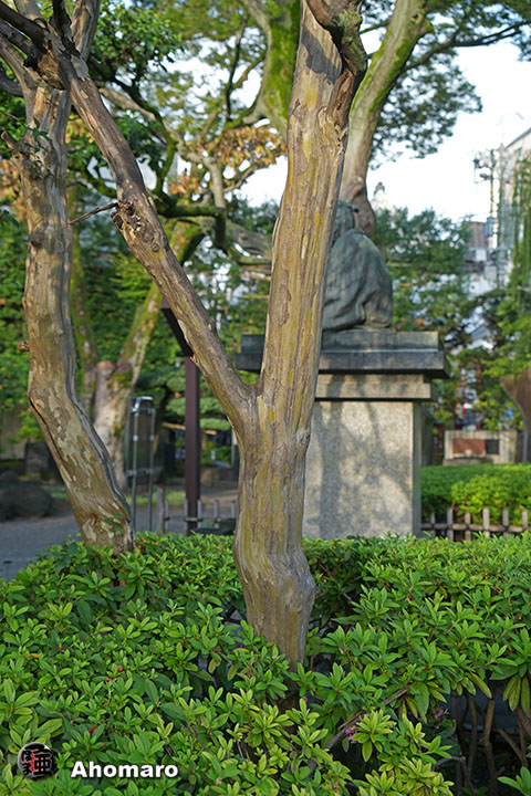 写真00