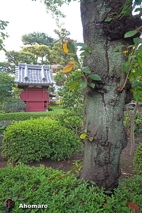 写真00