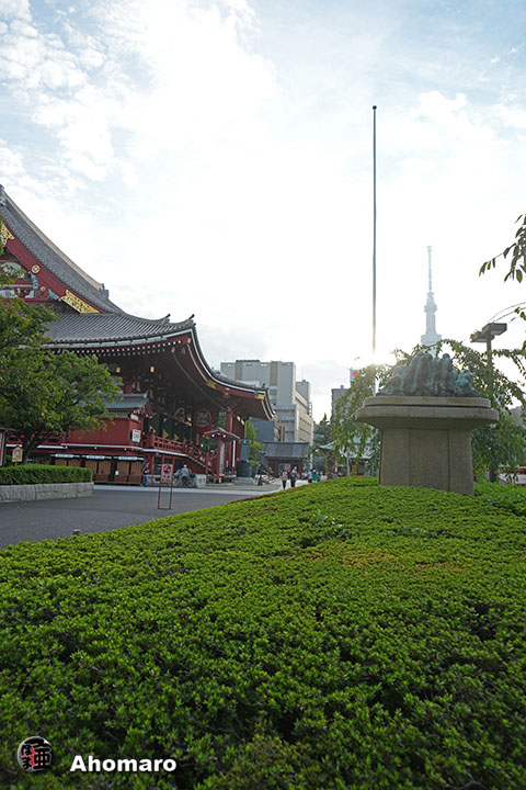 写真00