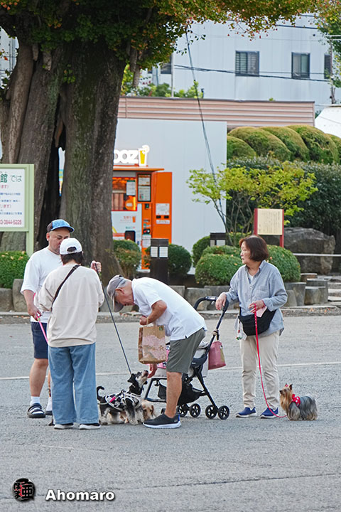写真00