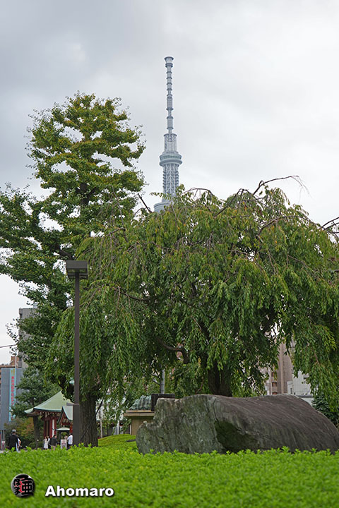 写真00