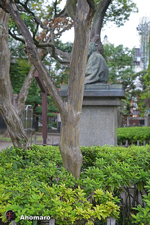 写真00