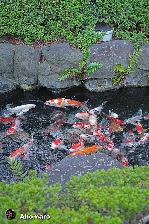 写真00