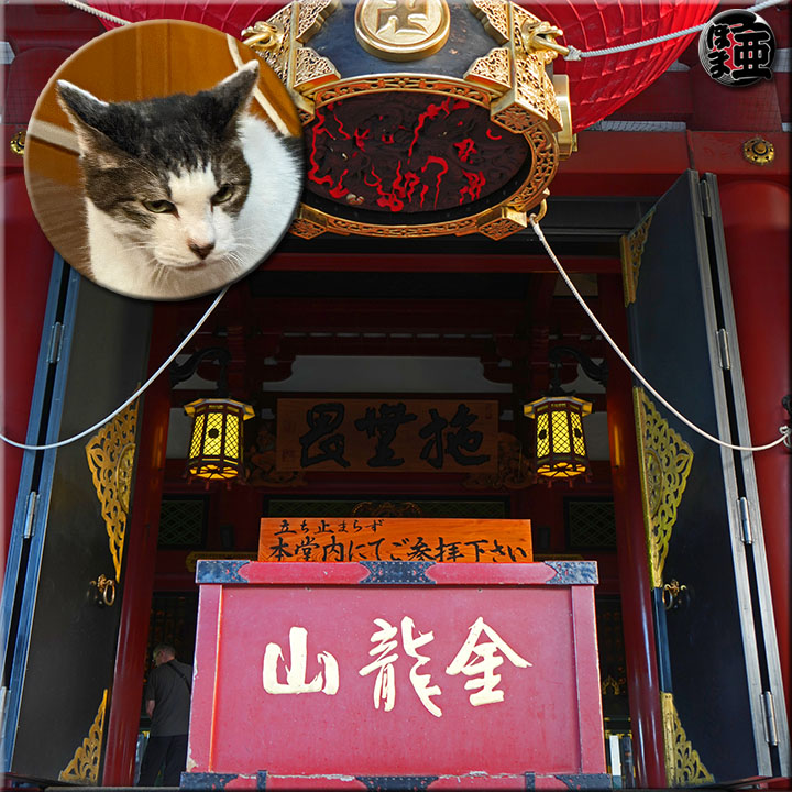日記写真