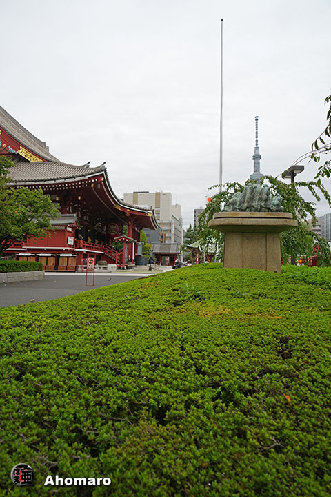 写真00